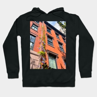 Wisteria on Manhattan townhouse Hoodie